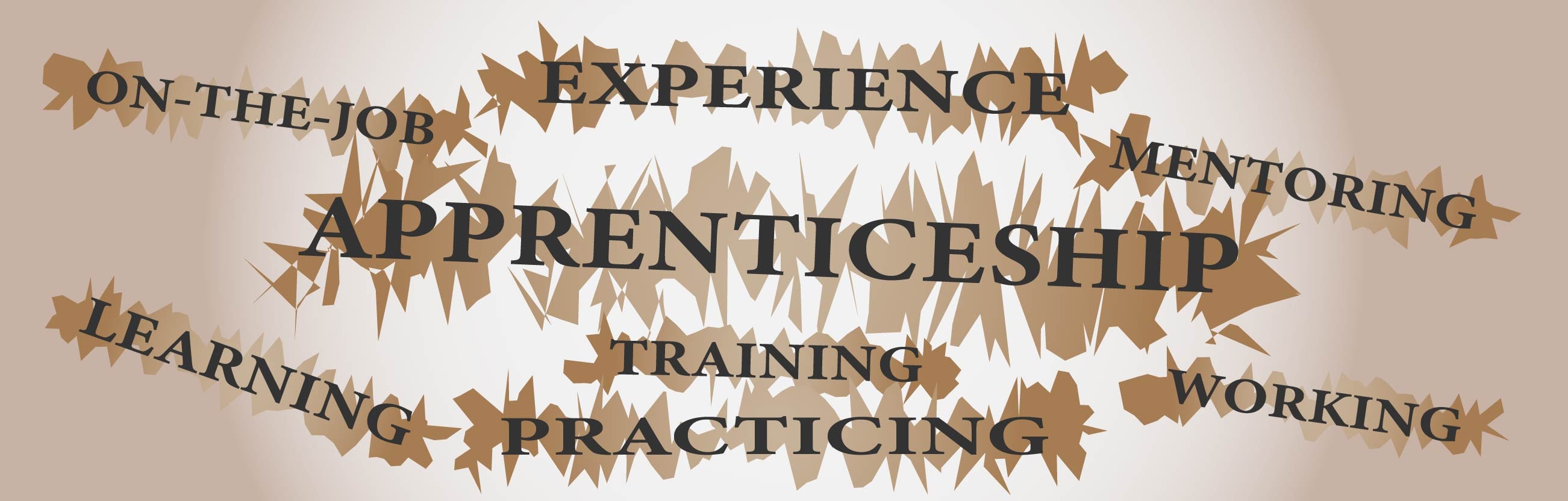 Why We Are Promoting Registered Apprenticeship